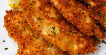 CHICKEN SCHNITZEL