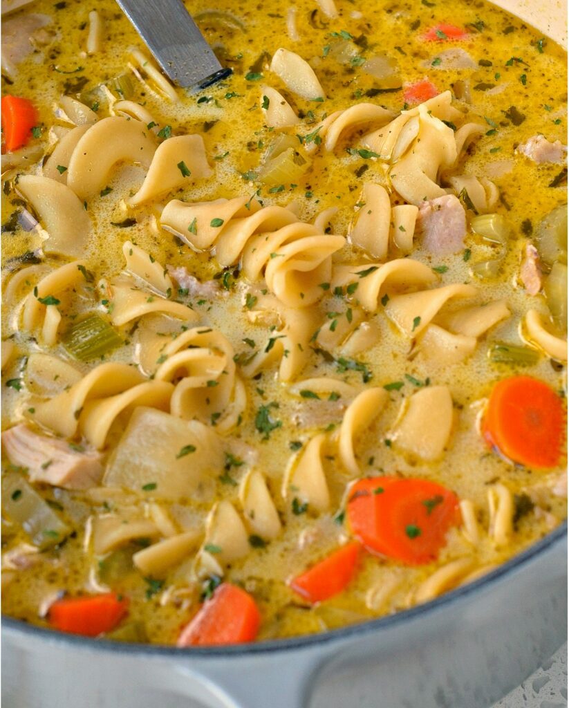 CHICKEN NOODLE SOUP