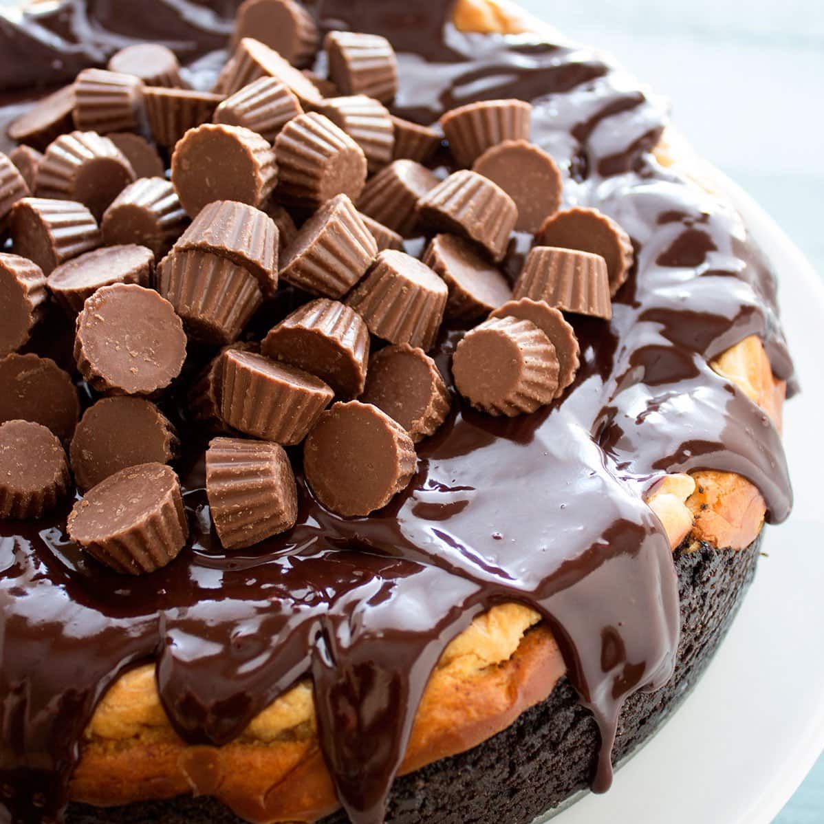 Peanut Butter Cup Cheesecake