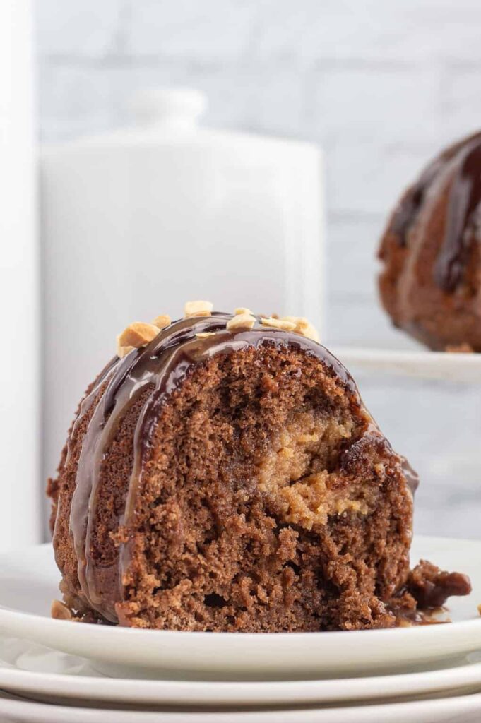 CHOCOLATE PEANUT BUTTER BUNDT CAKE