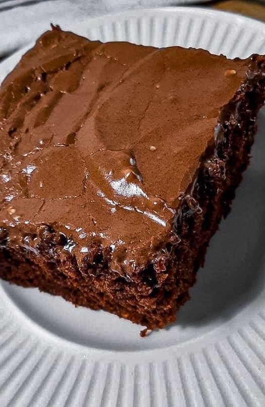 Chocolate Depression Cake