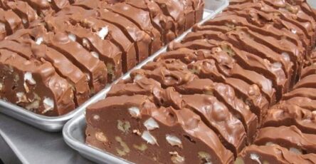 FAMOUS FUDGE