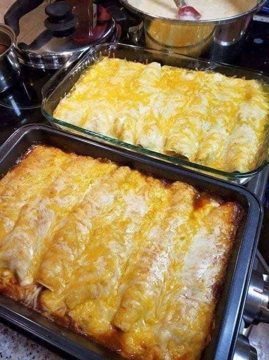 Cream Cheese Chicken Enchiladas