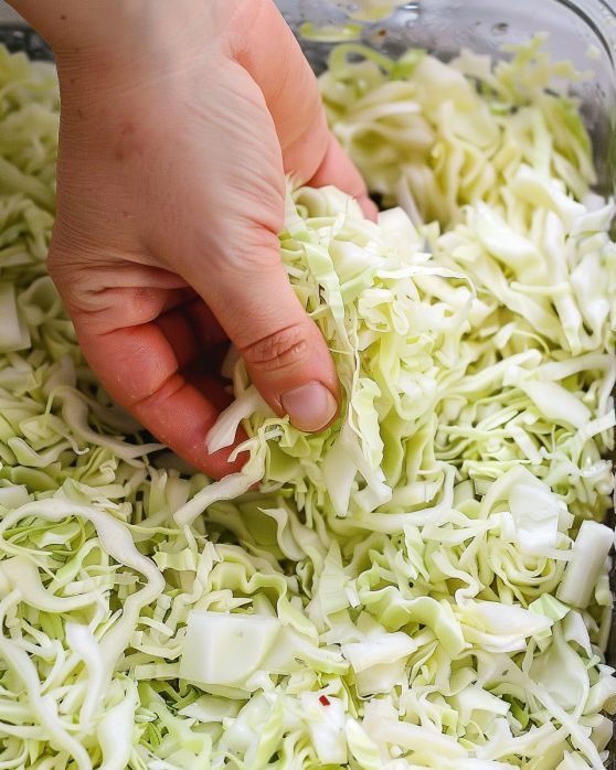 Cabbage Roll Casserole