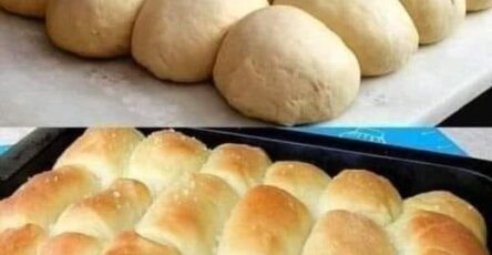 Easy Dinner Rolls