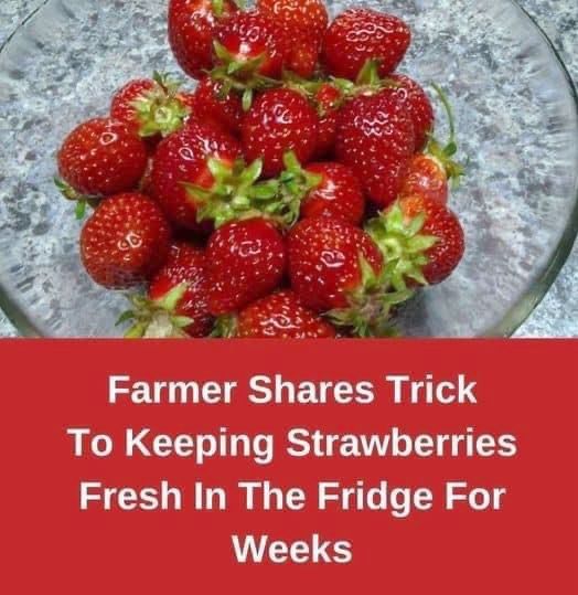 How To Keep Your Strawberries Fresh for Longer