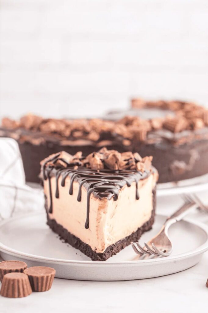 NO BAKE PEANUT BUTTER CHEESECAKE