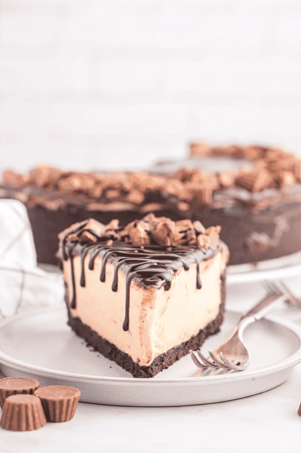 NO BAKE PEANUT BUTTER CHEESECAKE