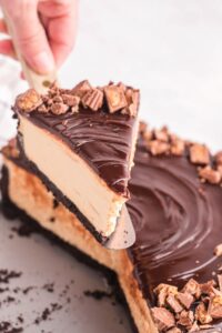 NO BAKE PEANUT BUTTER CHEESECAKE