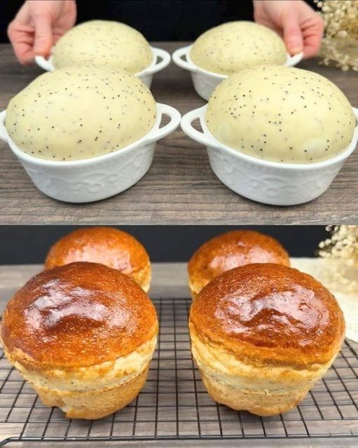 homemade brioche rolls with poppy seeds