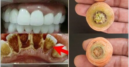 Carrot-Based Natural Tooth Cleaner