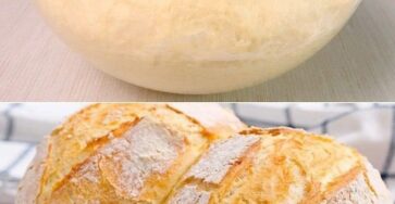 Homemade Artisan Bread Recipe