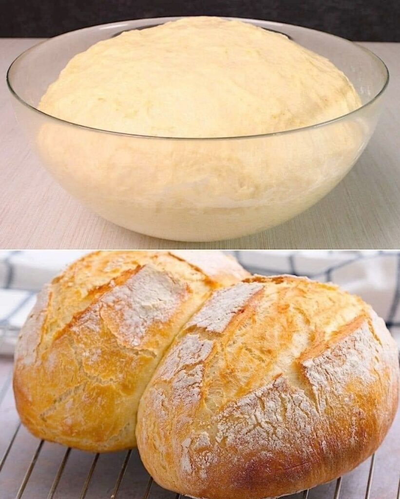 Homemade Artisan Bread Recipe