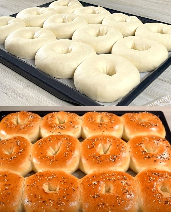 Homemade Bagels Recipe