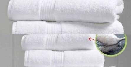 Secret to Keeping Your Towels Fluffy