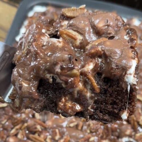 Delicious Mississippi Mud Cake