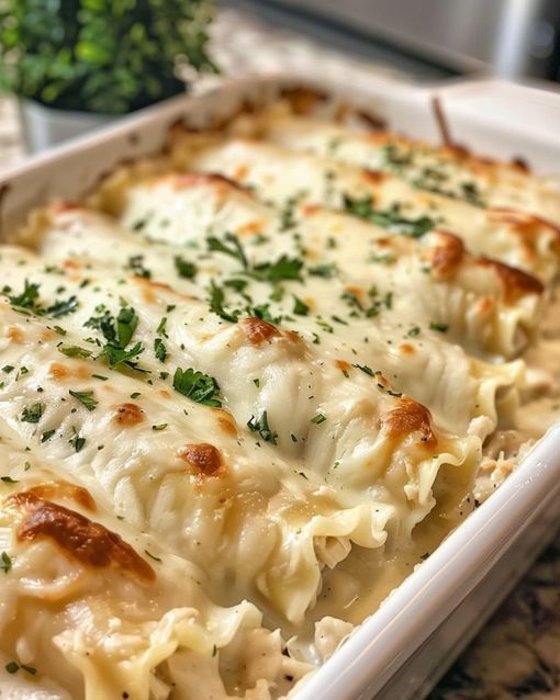 Creamy Chicken Alfredo Lasagna