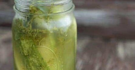 Homemade Dill Pickles