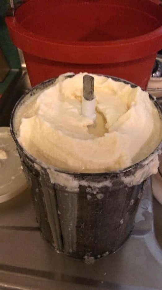 Homemade vanilla ice cream