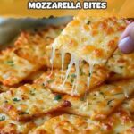 Cheesy Parmesan Mozzarella Bites