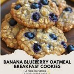 Banana Blueberry Oatmeal Breakfast Cookies