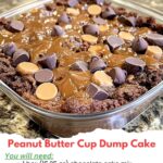 Peanut Butter Cup Dump Cake