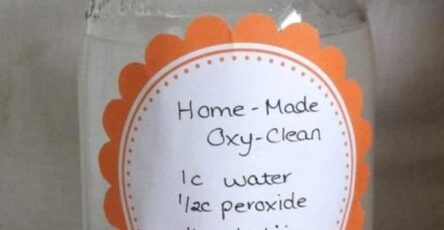 Homemade OxiClean