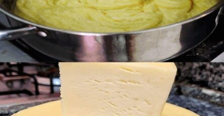 Homemade Cheese with Milk and Vinegar