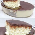 Chocolate coconut layered dessert