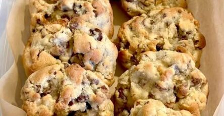 Big Fat Chewy Chocolate Chip Cookies