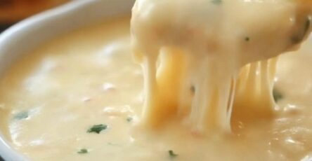 Mexican restaurant-style cheese dip