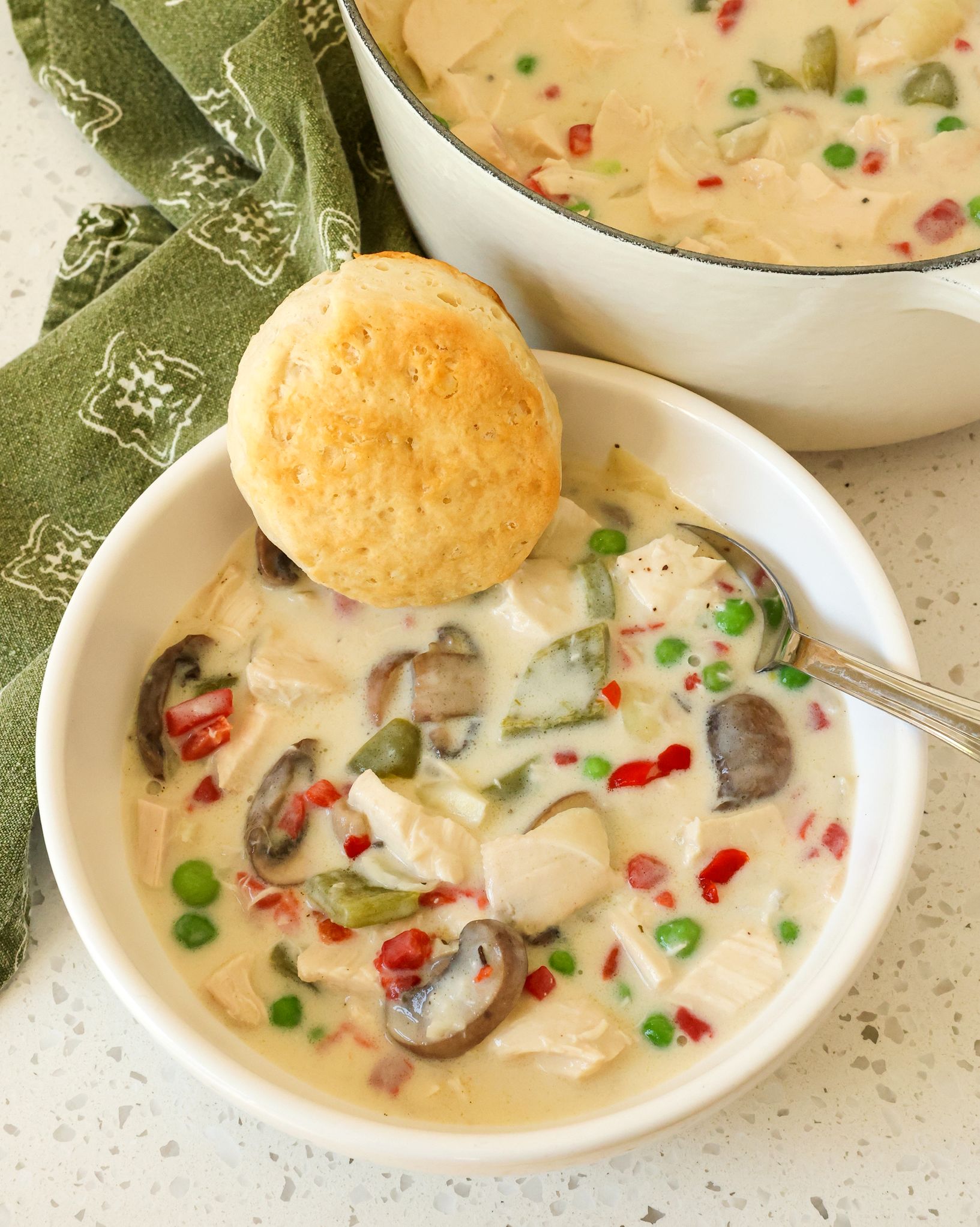 Creamy Chicken and Vegetable Soup