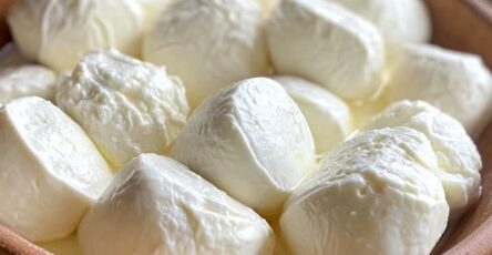 Homemade Mozzarella Cheese Recipe