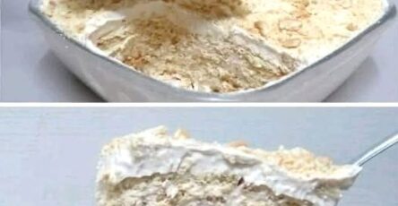 Easy No-Bake Biscuit and Cream Cake