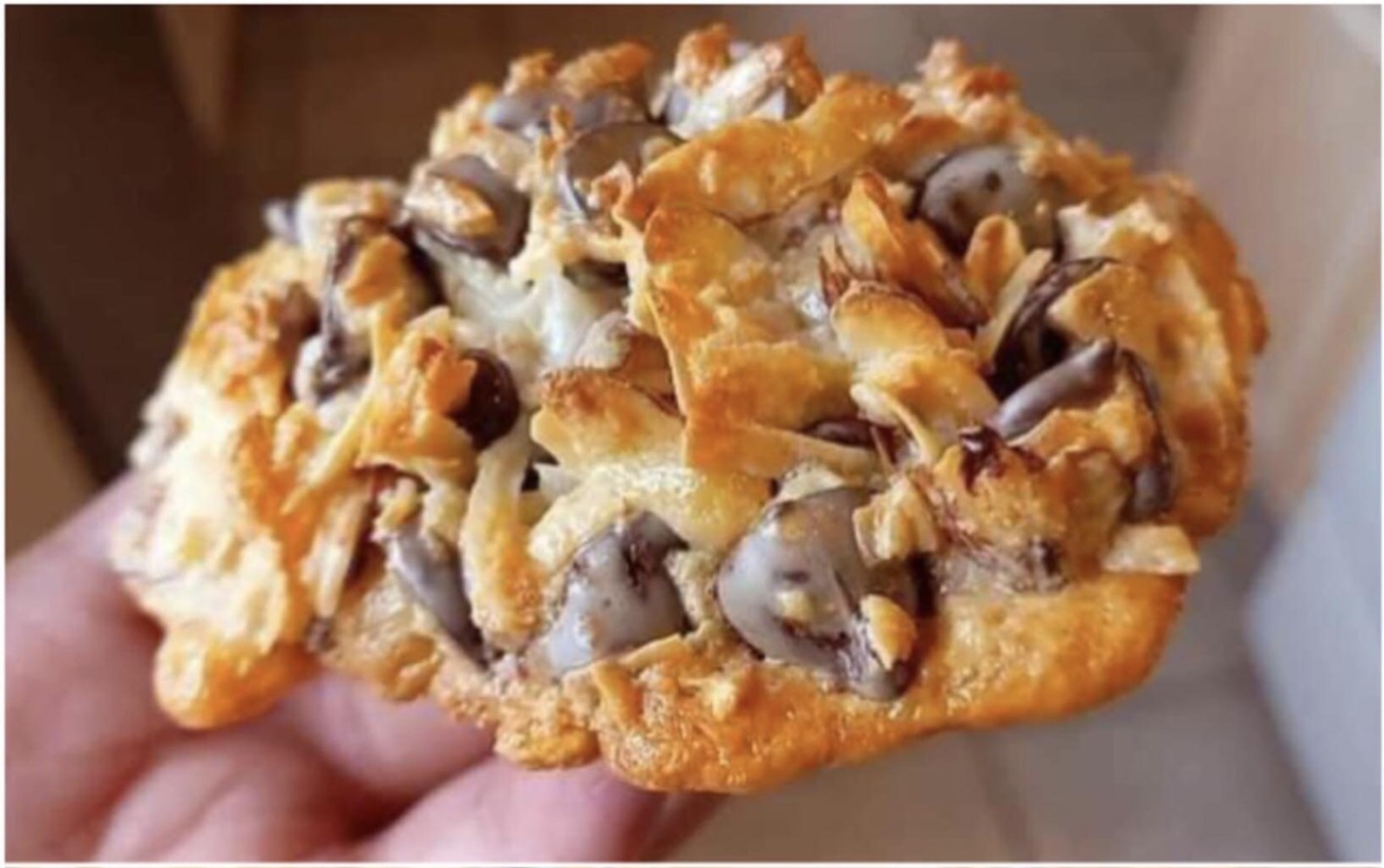 Easy Coconut Chocolate Chip Cookies