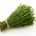 The Most Powerful Plant You Should Be Using Daily