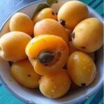 Sweet Juicy Loquats Recipe (