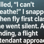 A Flight That Changed Everything