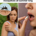 Vitamin B1 for Mosquito Repellent