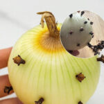 Benefits of Putting Cloves in an Onion