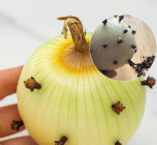 Benefits of Putting Cloves in an Onion