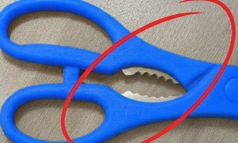 the Notch in Your Kitchen Scissors