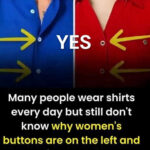 why women’s shirts button on the left